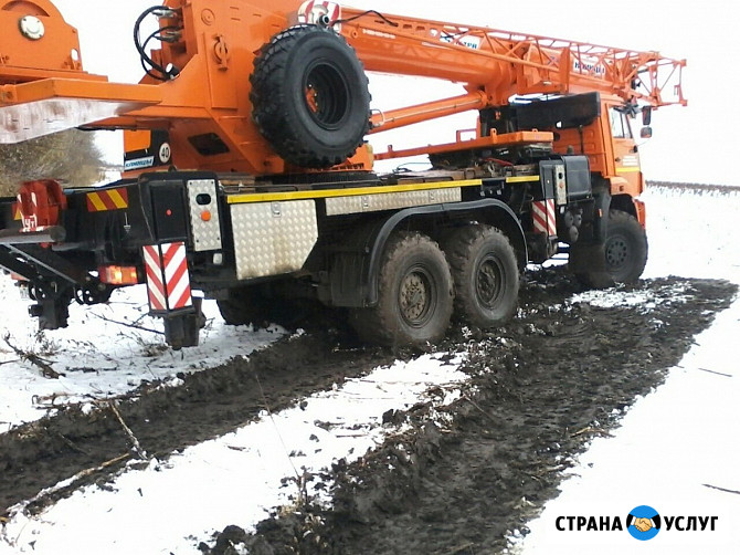 Автокран Вездеход 25т Волгодонск - изображение 1