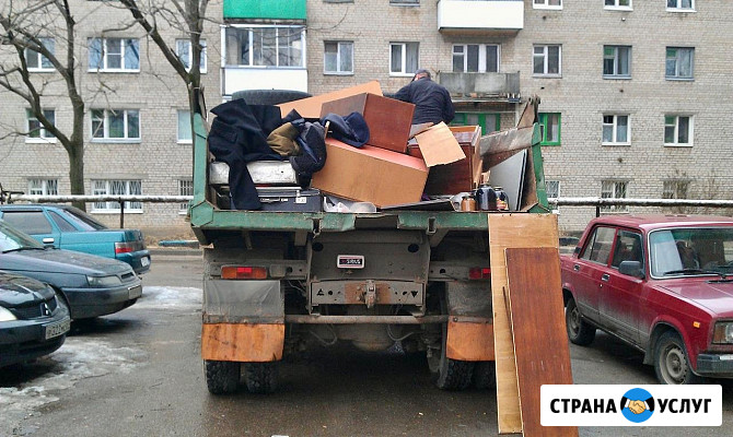 Вывоз мусора Зеленогорск Зеленогорск - изображение 1