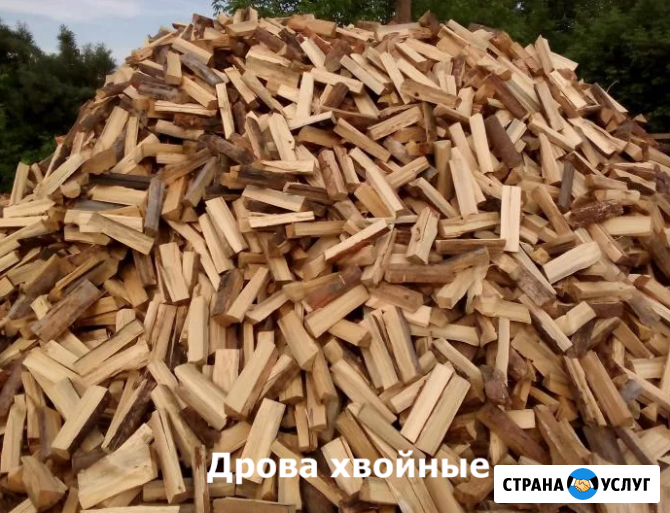 Продам дрова: берёзовые, хвойные, осиновые Кемерово - изображение 3
