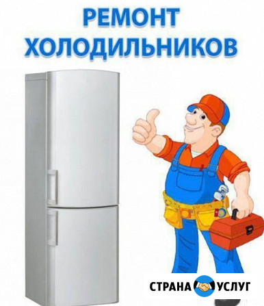 Ремонт холодильников Занусси/Zanussi Москва - изображение 2