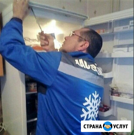 Ремонт холодильников Miele/Мили Москва - изображение 1