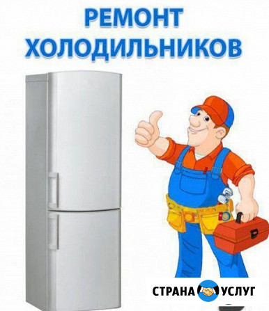 Ремонт холодильников Занусси/Zanussi Видное - изображение 2