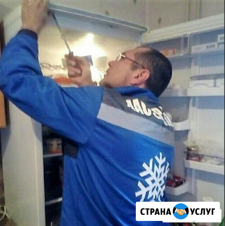 Ремонт холодильников Miele/Мили Видное - изображение 1