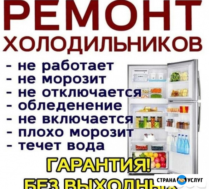 Ремонт холодильников Bosch/Бош Видное - изображение 2