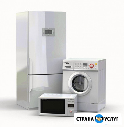 Ремонт холодильника smeg/смег Видное - изображение 2