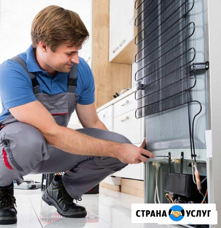 Ремонт холодильников smeg/смег Лобня - изображение 2