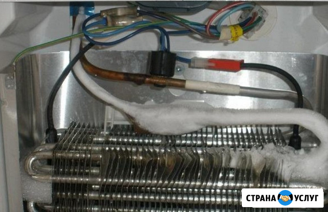 Ремонт холодильников Hotpoint-Ariston/Хотпоинт-Аристон Лобня - изображение 3