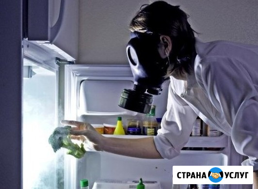 Ремонт холодильников Beko/Беко Лыткарино - изображение 4