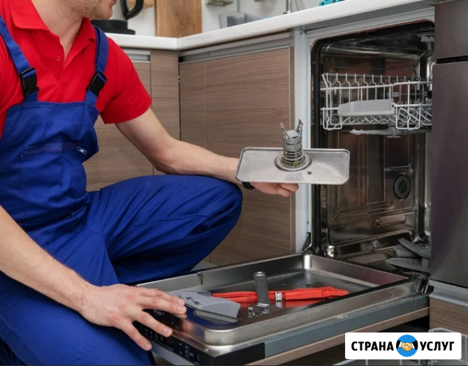 Ремонт посудомоечных машин Brandt/Брандт Химки - изображение 5