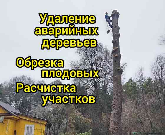 Спил деревьев, обрезка плодовых, расчистка участка Калуга