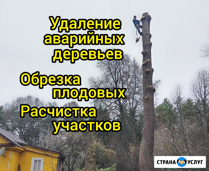 Спил деревьев, обрезка плодовых, расчистка участка Калуга - изображение 1