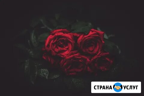 Ритуальные услуги Ростов-на-Дону - изображение 2