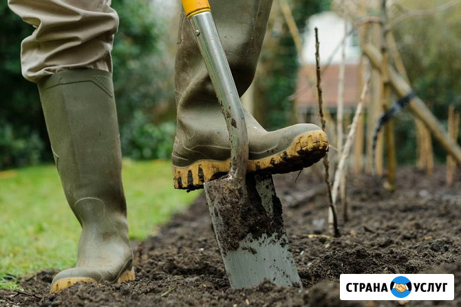 Земляные работы Калининград - изображение 1