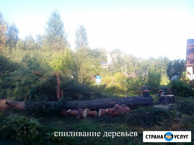 Благоустройство участка Тверь - изображение 5