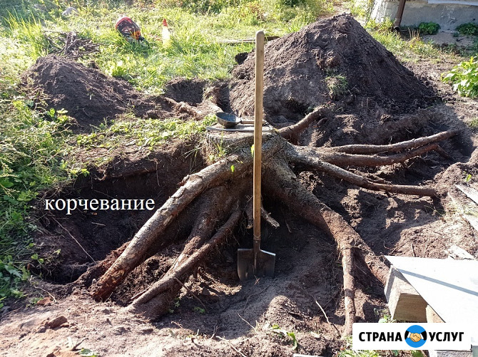 Благоустройство участка Тверь - изображение 5