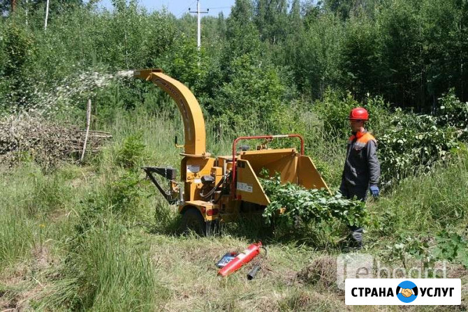 Аренда измельчителя веток дробилка Старая Русса - изображение 1