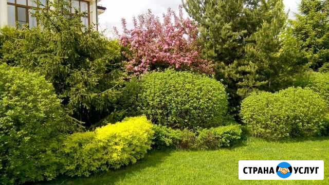 Проф. уход за садом. Консультации агронома Истра - изображение 1