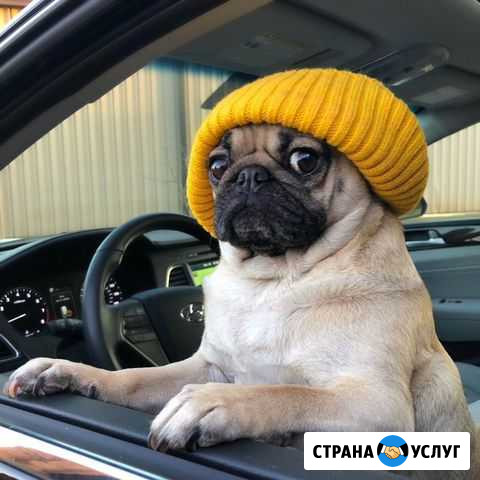 Инструктор по вождению Краснодар - изображение 1