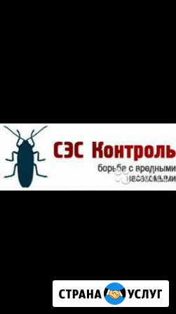 Дезинфекция, дезинсекция. сэс Березники - изображение 1