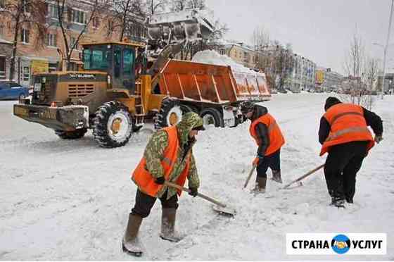 Вывоз снега и мусора Саранск