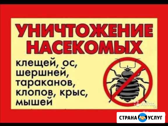 Дезинфекция. уничтожаем клопов, тараканов Чебоксары - изображение 1