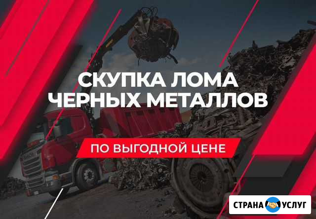 Прием металлолома вывоз,самовывоз прием Санкт-Петербург - изображение 1