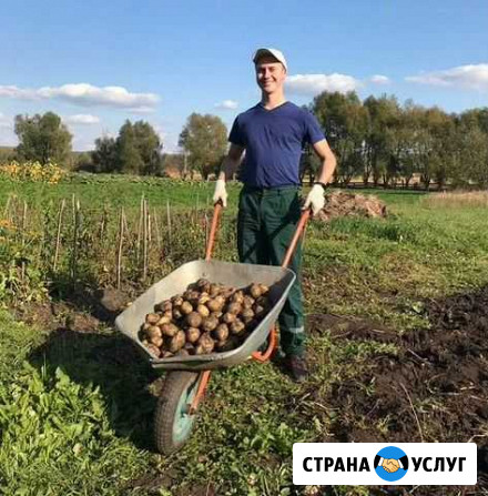 Разнорабочий, разнорабочие, грузчик Ижевск - изображение 1