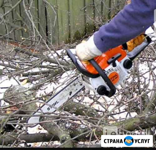 Спил аварийнных деревьев. Обрезка сада. Вывоз Ракитное - изображение 1