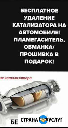 Удаление катализаторов бесплатно, пламя гаситель и Первоуральск - изображение 1