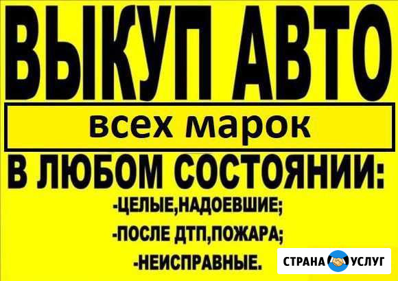 Выкуп авто при срочной продаже Усть-Кут - изображение 1