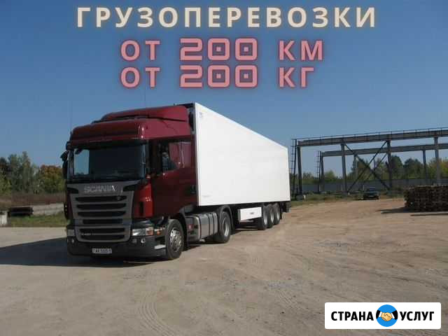 Грузоперевозки газель / фура / межгород / переезды Лиски - изображение 1