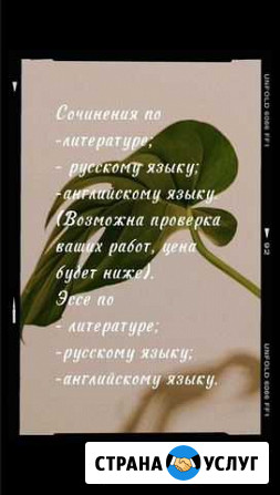 Написание школьных сочинений, эссе Махнево - изображение 1