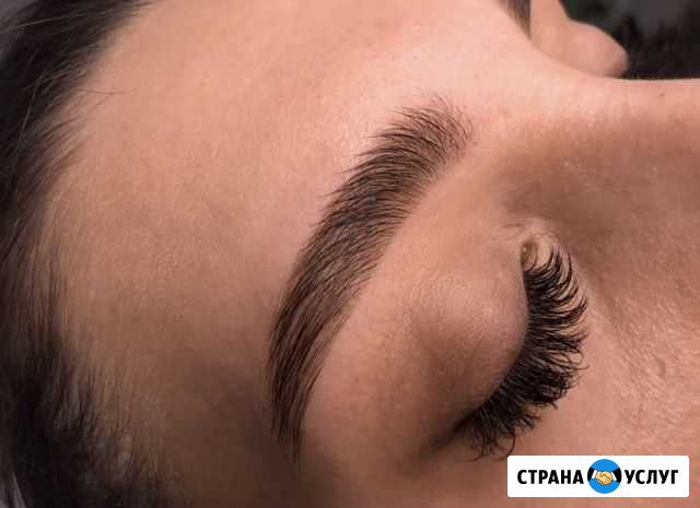 Бровист Горячеводский - изображение 1