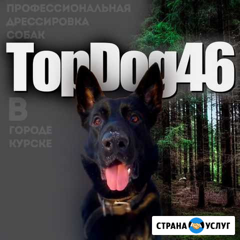 Профессиональная дрессировка собак по Курску Курск - изображение 1