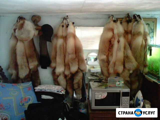 Выделка пушнины Томск - изображение 1