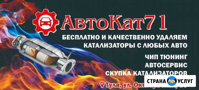 Удаление катализатора бесплатно с доплатой вам до Тула - изображение 1