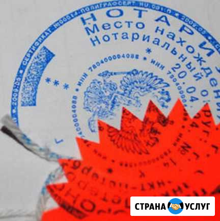Перевод паспорта Москва - изображение 1