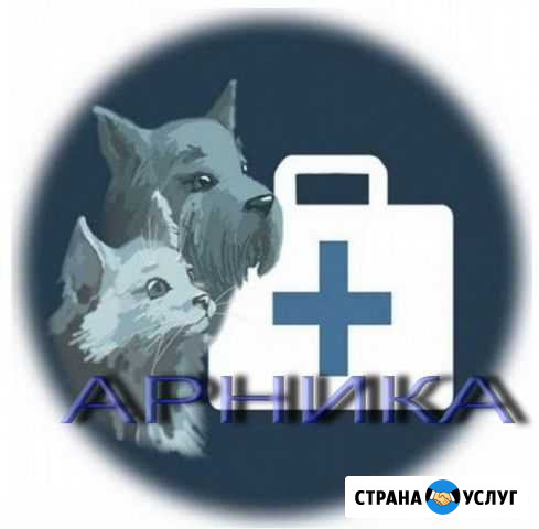 Ветеринарный врач на дом Кастрация кота на дому Анапа - изображение 1