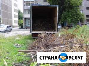 Вывоз мусора Бор - изображение 1