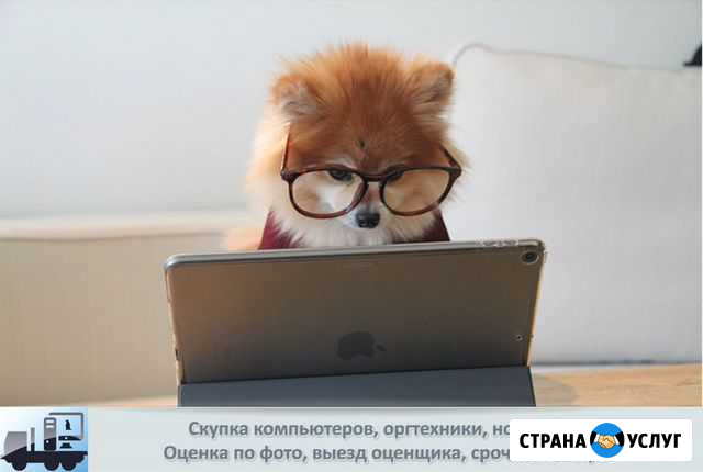 Вывоз Утилизация компьютеры, серверы, оргтехника Санкт-Петербург - изображение 1