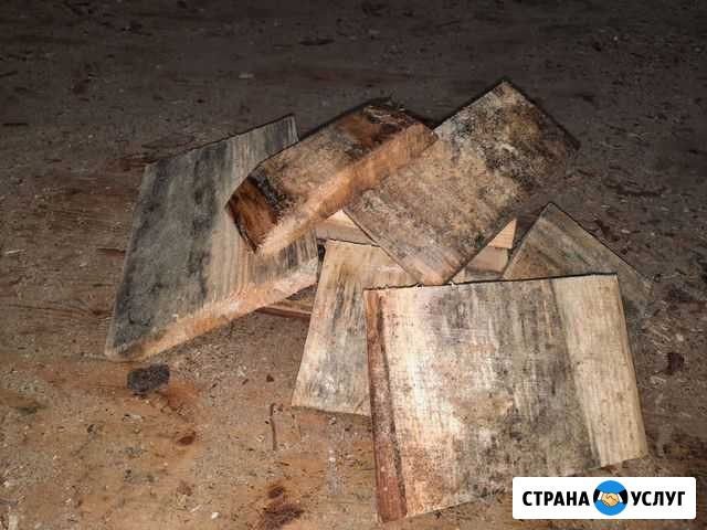 Сосновые обрезки Барнаул - изображение 1