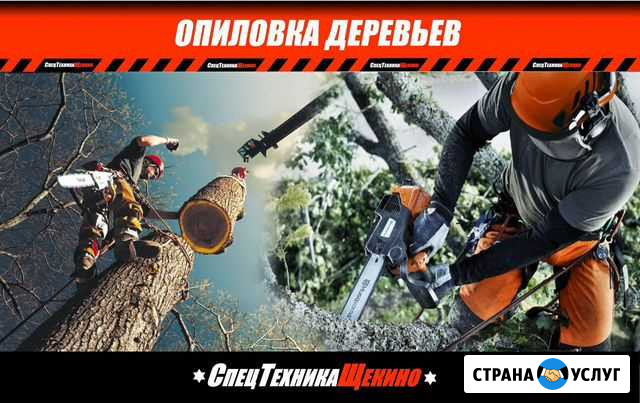 Опиловка деревьев Щекино - изображение 1