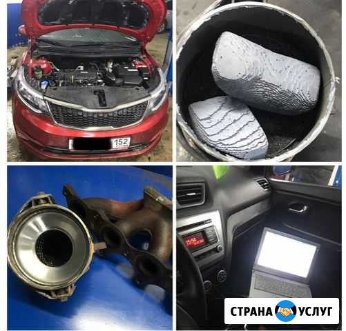 Удаление катализатора с доплатой Санкт-Петербург - изображение 1