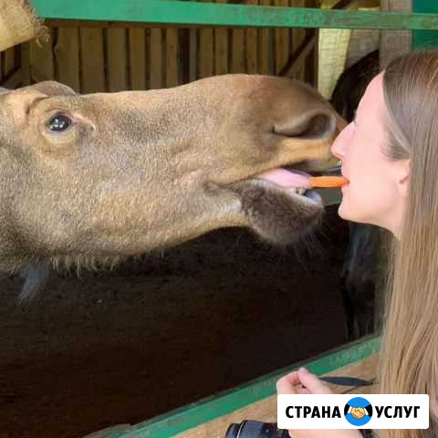 Уход за животными Московский - изображение 1