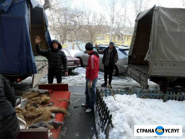 Вывоз мусора с грузчиками (любой объём) 24/7 Симферополь - изображение 1