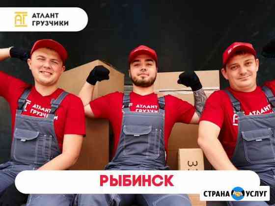 Грузчики Рыбинск