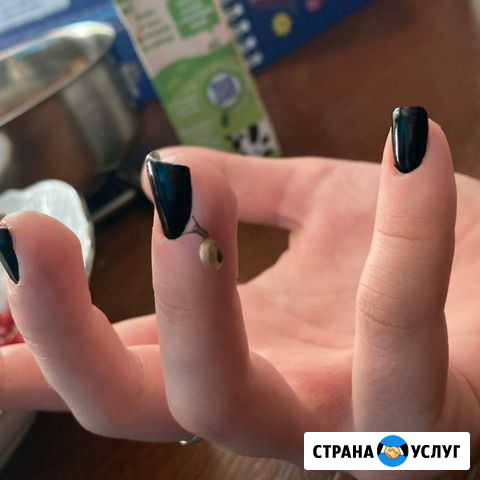 Маникюр педикюр с выездом на дом Санкт-Петербург - изображение 1