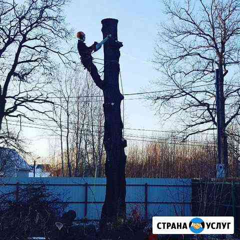 Удаление деревьев в г.Видное Видное