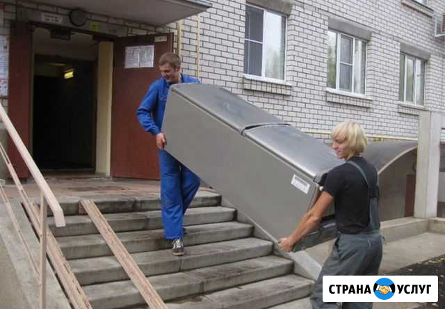 Срочные переезды, грузчики. Разборка и упаковка Подольск - изображение 1