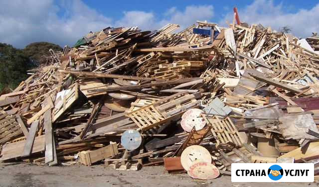 Приём и утилизация древесных отходов Королев - изображение 1